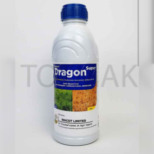 dragon super