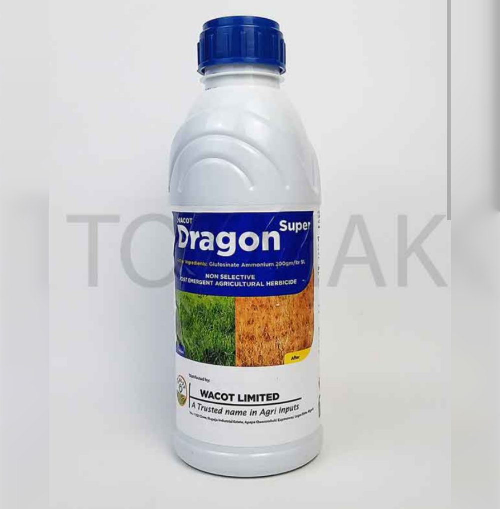 dragon super dragon super