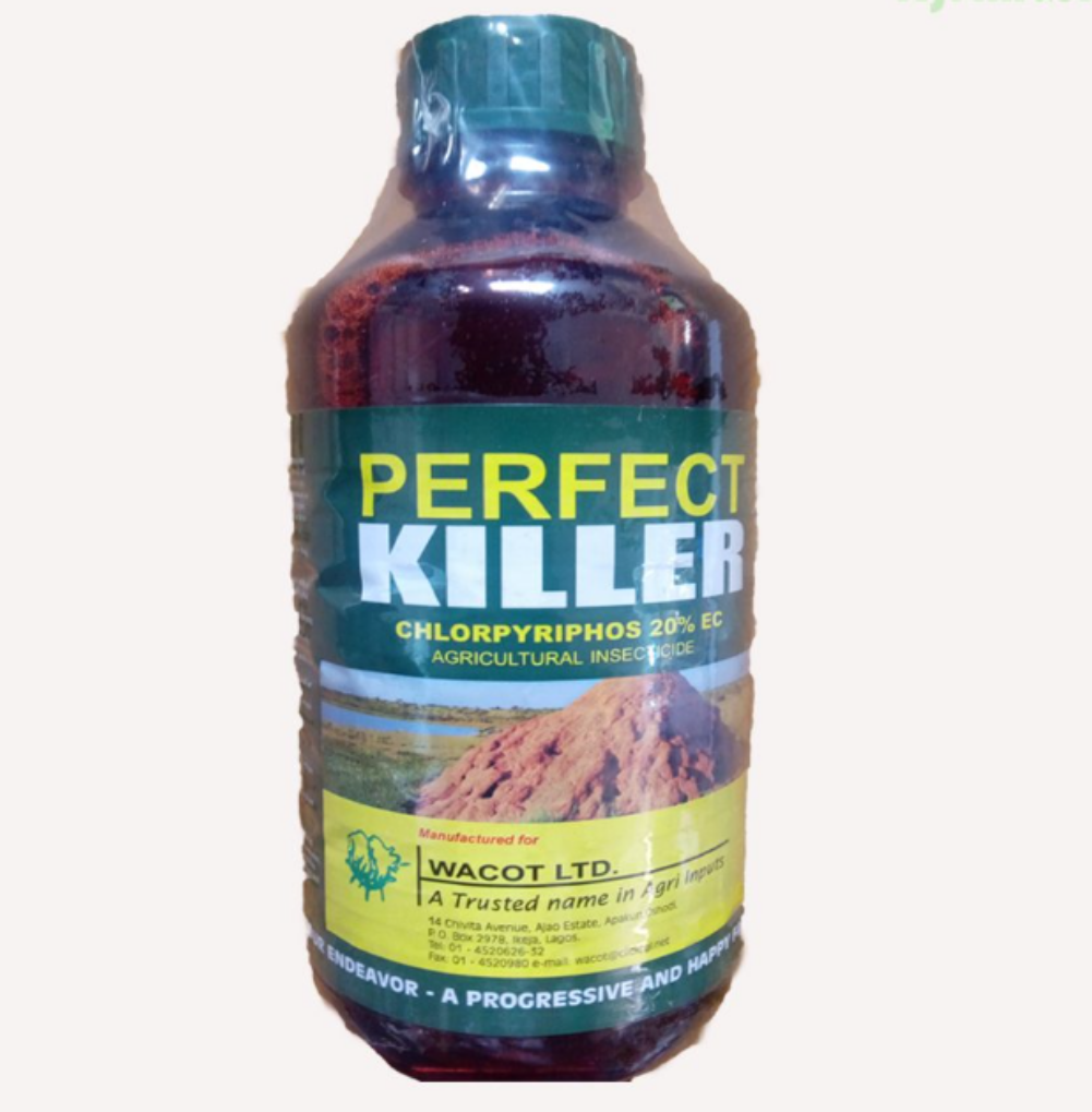 Perfect Killer