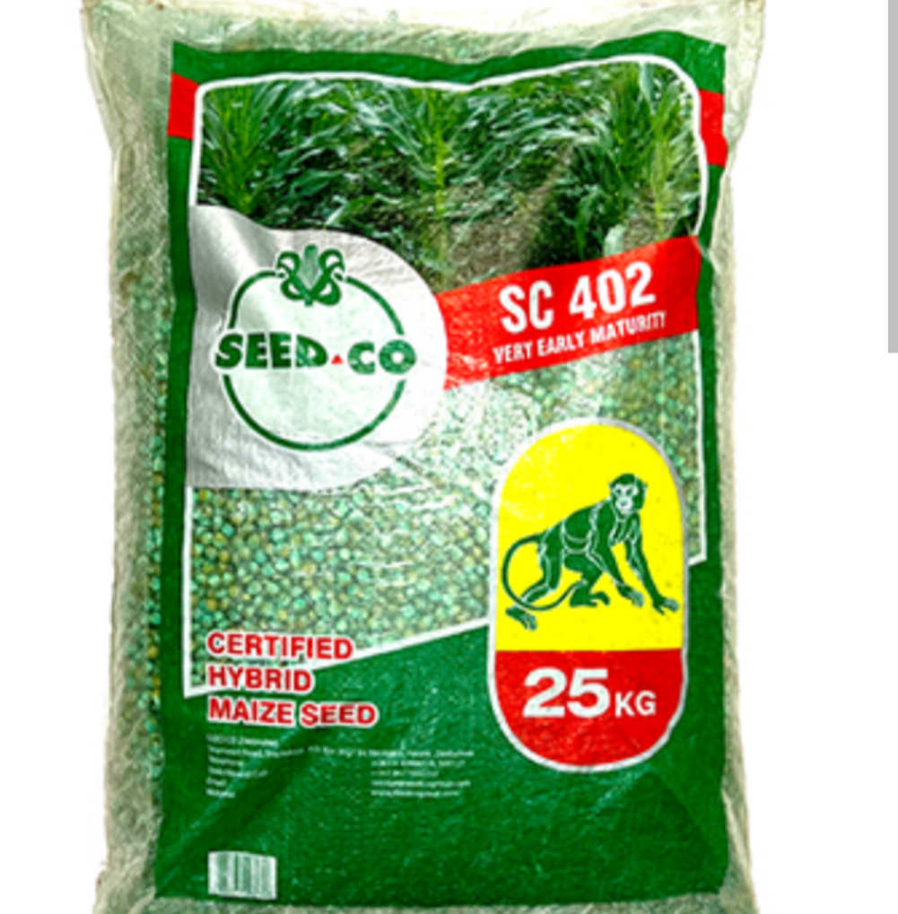 Seedco Maize Seeds – 25KG